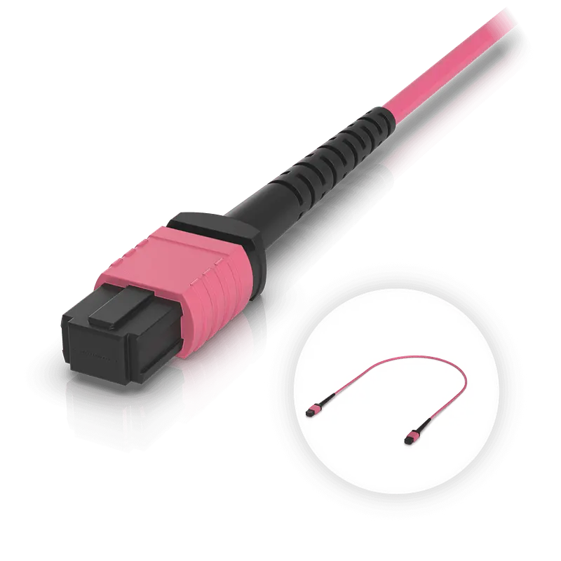 OM4 MPO-12 UPC Fiber Patch Cable